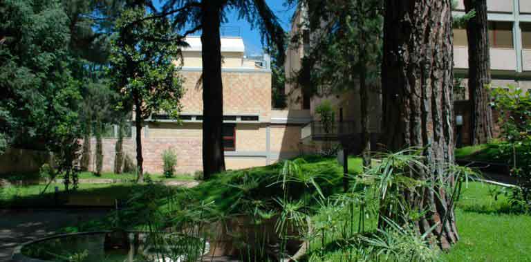 best_university_college_in_rome_768x379